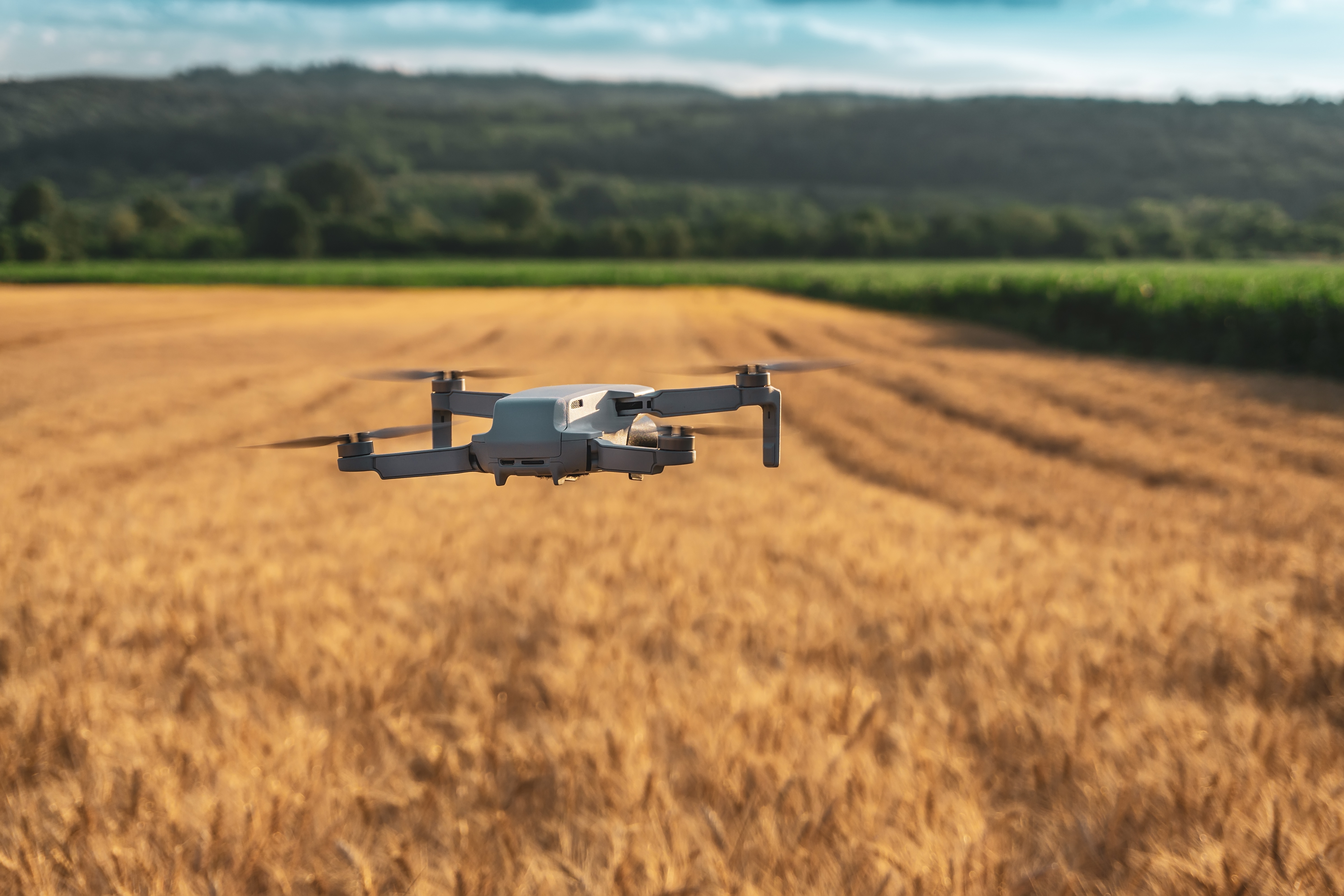 Drone over Wheat field