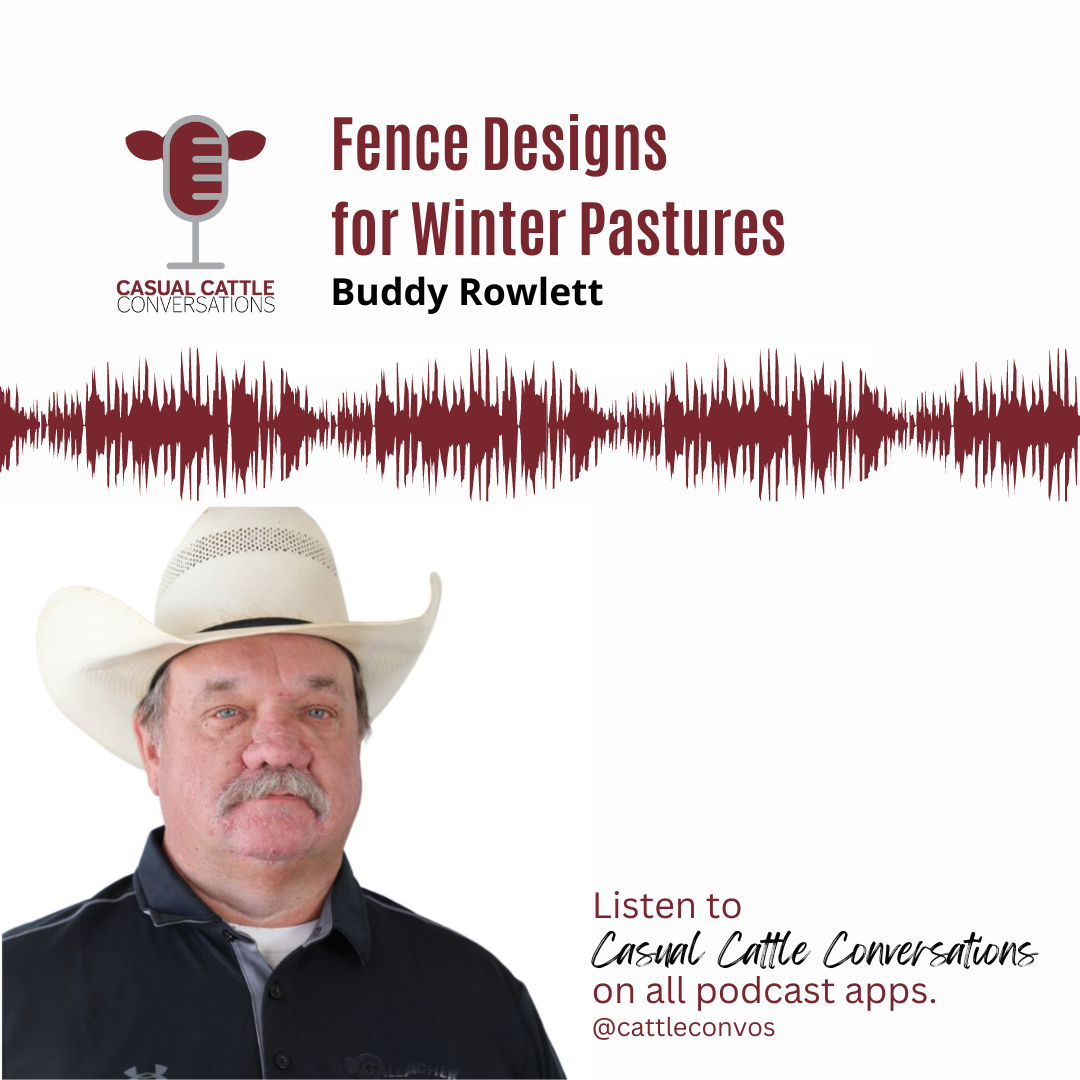 Winter Fence - Casual Cattle Conversations