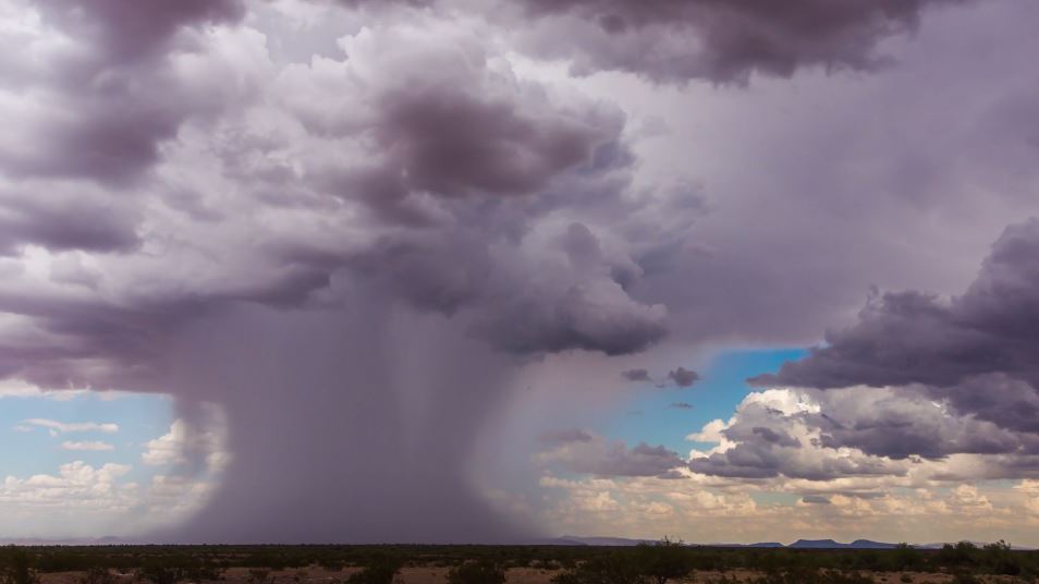 Monsoon Rainfall Seen Normal by Skymet Boosts India Crop Outlook | AgWeb