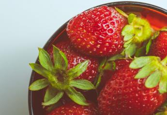 Study: Strawberries improve heart health in male teens