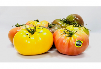 Guatemalan heirloom tomatoes available year-round