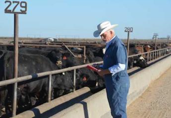 Industry Feedyard Audit Tool Now Available
