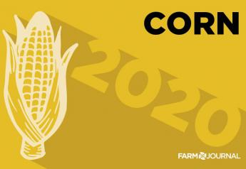 Next year, corn prices could settle in the $3.50 to $3.60 median range, according to recent Food and Agricultural Policy Institute (FAPRI) projections. 