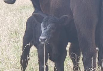 What #FarmOn Means to This Missouri Rancher
