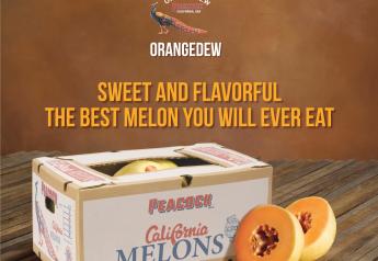 Turlock Fruit debuts orangedew melon