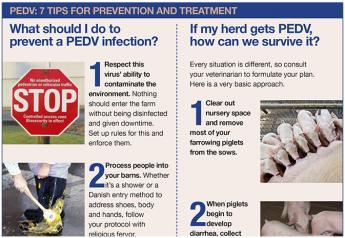 What should you do to prevent a PEDV infection? And if your herd gets PEDV, how can you survive it? Here’s help. 