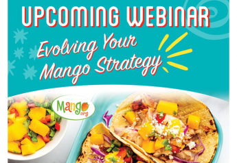 Mango board’s seminar focuses on evolving strategy