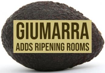Giumarra adds ripening rooms