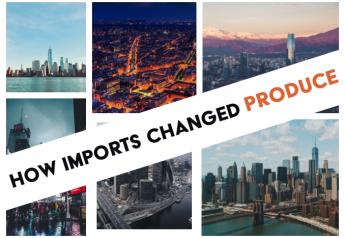 The impact of imports on year-round supply