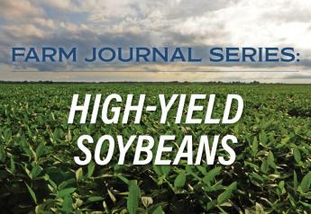 Farm Journal Series: High-Yield Soybeans