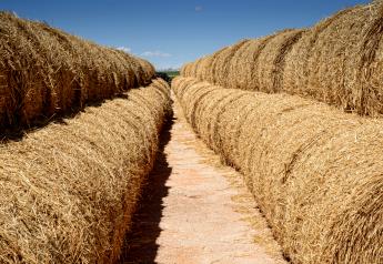 The latest Crop Production report from USDA-NASS shos May 1 hay stocks at 14.9 million tons, down 2.9% year over year.  However, May 1 hay stocks in 2018 were also small.  
