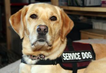 Service dogs have become an integral part of modern life for many.