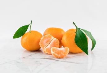 Mandarins continue to nudge navel oranges