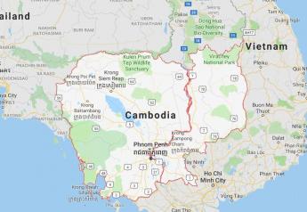 African Swine Fever Strikes Cambodia 