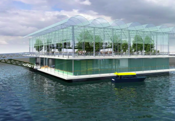 Cows Set Sail at World’s First Floating Dairy