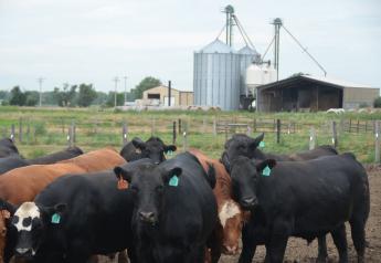 Ionophores and chlortetracycline were the antimicrobials fed on the highest percentages of feedlots.
