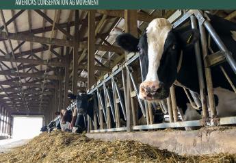 Could Precision Feeding Boost Efficiency and Reduce Methane Emissions?