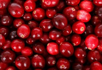Cranberry crop down in Wisconsin
