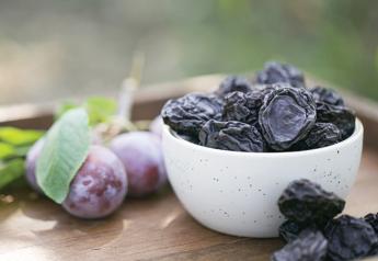 Strong season ahead for nuts, prunes and dates