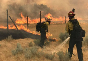 Idaho Governor Says Federal-State Program May Tame Wildfires