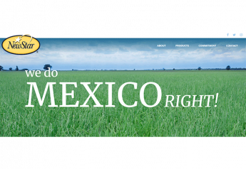 NewStar website showcases Mexico operations