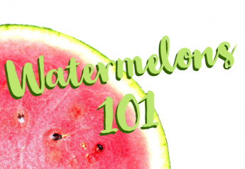 Watermelons 101