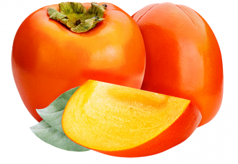 LGS imports Vanilla Persimmons from Spain