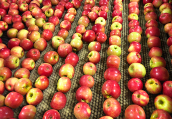 What’s in a name? A lot, when it comes to 2019 apples