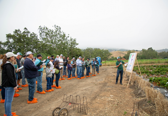 Cal Poly Strawberry Center continues to expand