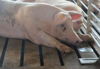 Hutchinson, a Republican, said the state signed an agreement with the operators of the C&H Hog Farm and will receive a conservation easement that will permanently prohibit similar farming operations on its site. 