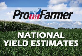 Pro Farmer: Corn and Soybean Yields Lower than USDA Estimates