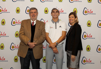 Pro golfer Joaquin Niemann hired as Chilean avocado spokesman
