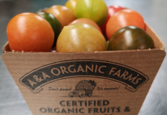 A & A Organic Farms expands tomato line