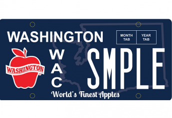 Washington license plate supports apple foundation