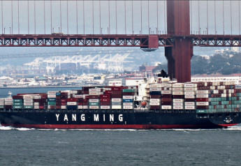 Cargo Ship Trade