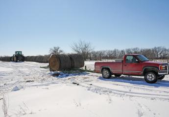 Determine Your Winter Hay Needs
