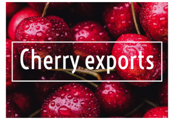 Cherry exporters hope for easier access to China in 2019