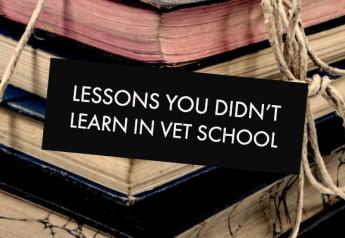 Veterinarians share the lessons they wish they'd learned in veterinary school. 