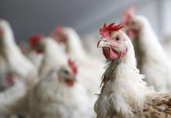 How Lincoln Premium Poultry Hit Its Production Goals During a Pandemic