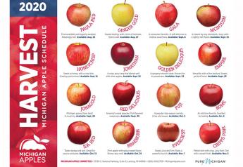 Plenty of apple varieties available in Michigan, marketers say