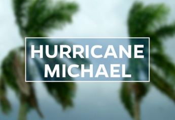 Florida ag officials eye hurricane damage