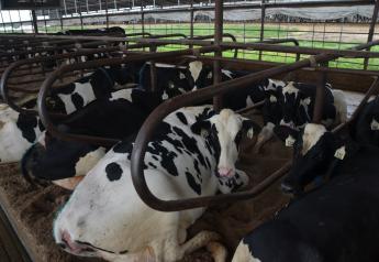 “Adoption of this rule without change will simply put a halt to livestock expansion in the state,” said Cindy Leitner, president of the Wisconsin Dairy Alliance, which represents factory farms.