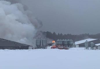 Thousands of Pigs Die in Wisconsin Barn Fire