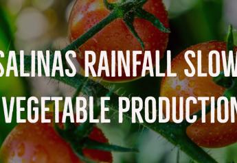 Persistent rain slows Salinas vegetable deals