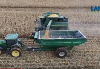 Co-Op And Community Rally To Harvest Farmer’s Crop