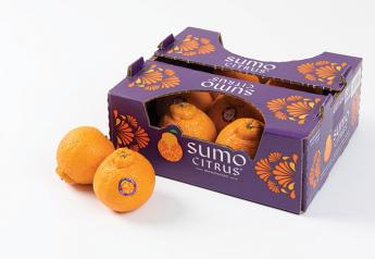 Sumo Citrus mandarins from Suntreat Packing & Shipping Co. continue to gain popularity, says Dan Kass, vice president, import/export sales and marketing. Although Sumo Citrus has been marketed for more than 10 years, “It’s still a relatively new item in terms of penetration in the marketplace,” he say