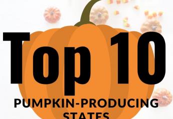 Top 10 Pumpkin-Producing States