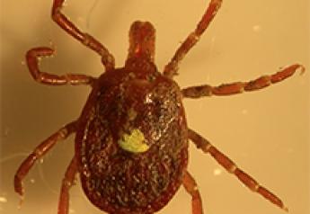 The lone star tick – one of the three primary human-biting tick species on Long Island examined in the study – is expanding its range and is the cause of Ehrichiosis.

