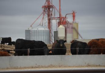 CAFOs are accused of contributing to both air and water pollution.