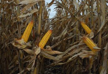 Crop Watch: Quick harvest progress amid unusually dry conditions -Braun